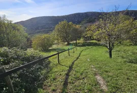 Crikvenica, Bribir- imanje sa 2 kuće i parcelom od 1778m2, prodaja, Vinodolska Općina, Casa