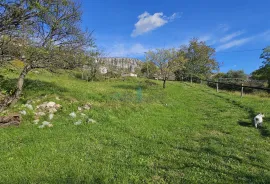 Crikvenica, Bribir- imanje sa 2 kuće i parcelom od 1778m2, prodaja, Vinodolska Općina, Casa