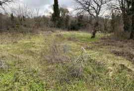 Istra, Baderna okolica - građevinsko zemljište s pravomoćnom građevinskom dozvolom, Poreč, Tierra