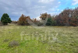 PROSTRANO GRAĐEVINSKO ZEMLJIŠTE TURISTIČKE NAMJENE, Svetvinčenat, Terreno