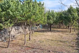 Šilo, otok Krk, poljoprivredno zemljište 330m do plaže i mora, prodaja, Dobrinj, Terreno