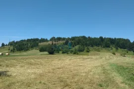 Ravna Gora - samostojeća kuća, pomoćna zgrada, 15861 m2 terena, prodaja, Ravna Gora, Σπίτι