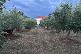 Otok Krk, Malinska - maslinik s vikendicom i pogledom na more, Malinska-Dubašnica, Terreno