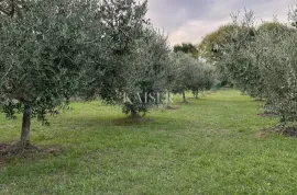 Otok Krk, Malinska - maslinik s vikendicom i pogledom na more, Malinska-Dubašnica, Terreno