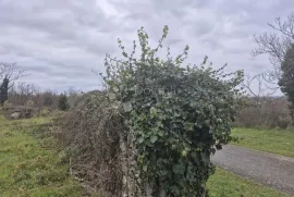 Građevinsko zemljište stambene namjene, Tinjan, Tierra