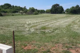 ZEMLJIŠTE S GRAĐEVINSKOM DOZVOLOM!, Barban, Terreno