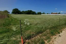 ZEMLJIŠTE S GRAĐEVINSKOM DOZVOLOM!, Barban, Tierra