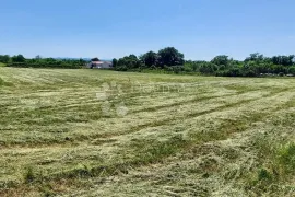 ZEMLJIŠTE S GRAĐEVINSKOM DOZVOLOM!, Barban, Terreno