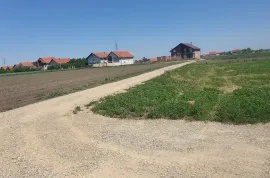 Batajnica/Busije zemljiste na prodaju, Zemun, Tierra