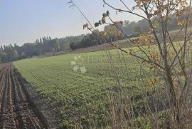 TOP CIJENA!, Varaždin, Terrain