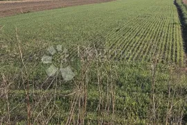 TOP CIJENA!, Varaždin, Terra