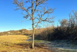 Poljoprivredno zemljište , Umag , Istra , 400 m2, Umag, Tierra