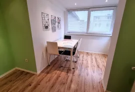 Zagreb, centar, stan 60m2, 1SS+DB najam, Zagreb, Appartamento