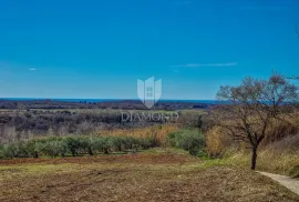 Buje! Prostrano zemljište sa panoramskim pogledom na more!, Buje, Land