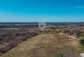 Buje! Prostrano zemljište sa panoramskim pogledom na more!, Buje, Land