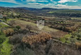 Buje! Prostrano zemljište sa panoramskim pogledom na more!, Buje, Land