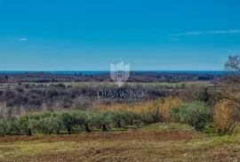 Buje! Prostrano zemljište sa panoramskim pogledom na more!, Buje, Land