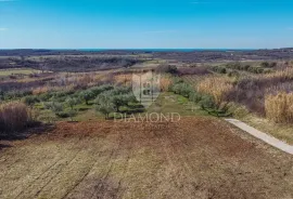 Buje! Prostrano zemljište sa panoramskim pogledom na more!, Buje, Land