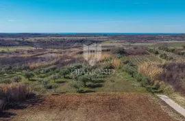 Buje! Prostrano zemljište sa panoramskim pogledom na more!, Buje, Land