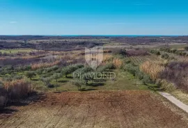 Buje! Prostrano zemljište sa panoramskim pogledom na more!, Buje, Land