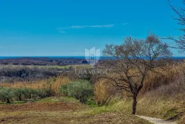 Buje! Prostrano zemljište sa panoramskim pogledom na more!, Buje, Land