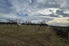 Budrovci, poljoprivredno zemljište s voćnjakom višanja, 20811 m2, Đakovo, Terrain