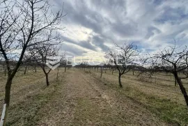 Budrovci, poljoprivredno zemljište s voćnjakom višanja, 20811 m2, Đakovo, Terrain