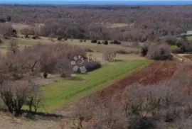 Istra Svetvinčenat Štokovci ravna parcela od 1322m2, Svetvinčenat, Land