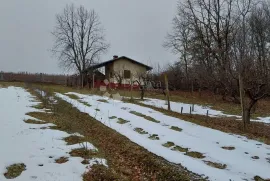 BEKTEŽ - VINOGRAD S VIKENDICOM U  BLIZINI RIBNJAKA, Kutjevo, Terreno