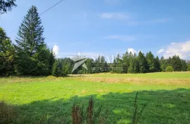 Gorski Kotar, Delnice - građevinsko zemljište 654 m2 okruženo prirodom, Delnice, Γη