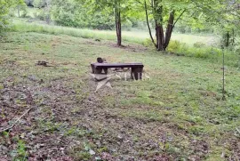 Gorski kotar, Vrbovsko - poljoprivredni teren sa roštiljem i sjenicom, Vrbovsko, Land