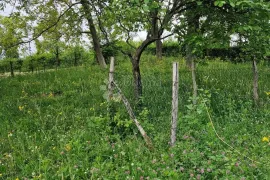 Odlična pozicija sa manjom kućom, Zagreb, بيت