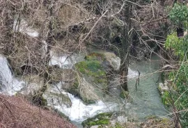 Pazin okolica - kuća u prirodi s građevinskim zemljištem 4000 m2, Pazin - Okolica, بيت