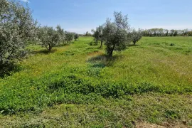 Istra, Loborika, Građevinsko zemljište 974m2, Marčana, أرض