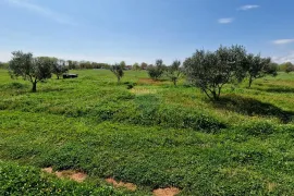 Istra, Loborika, Građevinsko zemljište 974m2, Marčana, أرض