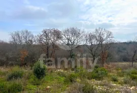 PROSTANO POLJOPRIVREDNO ZEMLJIŠTE U MANDRIOLU, Vodnjan, Zemljište