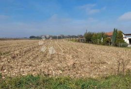 VELIKO POLJOPRIVREDNO ZEMLJIŠTE LUDBREG, Ludbreg, أرض