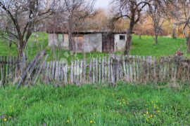 kuća Gazije, Feričanci, Дом