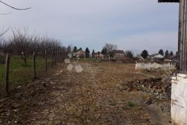 Kuca sa placem od 1800 m²,centar Knezevi Vinogradi,Baranja, Kneževi Vinogradi, House