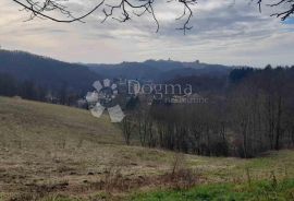 VIŠE OD 4,6 HEKTARA SA SPEKTAKULARNIM POGLEDOM, Štrigova, Arazi