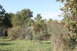 Velika parcela na odličnoj lokaciji, Vodnjan, Land