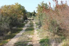 Velika parcela na odličnoj lokaciji, Vodnjan, Land