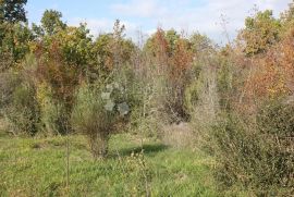 Velika parcela na odličnoj lokaciji, Vodnjan, Land