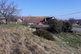 Kuća 176 m²,plac 2 623 m²,Knezevi Vinogradi,Baranja, Kneževi Vinogradi, Casa