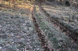 Veliko poljoprivredno zemljište u okolici Cera, Žminj, Terrain