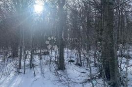 Građevinsko zemljište u blizini Liča, Vinodolska Općina, Land