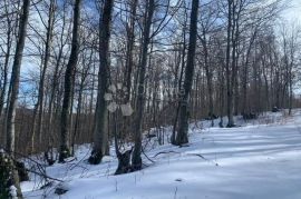 Građevinsko zemljište u blizini Liča, Vinodolska Općina, Land