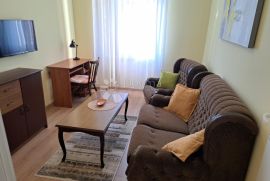 Pehlin, novoadaptiran stan, Rijeka, Appartement