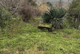 Kuća Prodaja kuće sa dvorištem u nepodrednoj blizini centra, Buje!, Buje, Дом