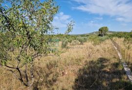 Kuća prodaja JAGODNJA GORNJA s velikom okućnicom 2900 m2, Polača, Famiglia